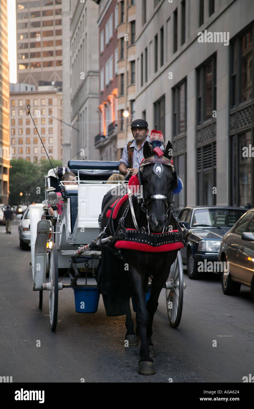 Boston horse carriage tour hi-res stock photography and images - Alamy