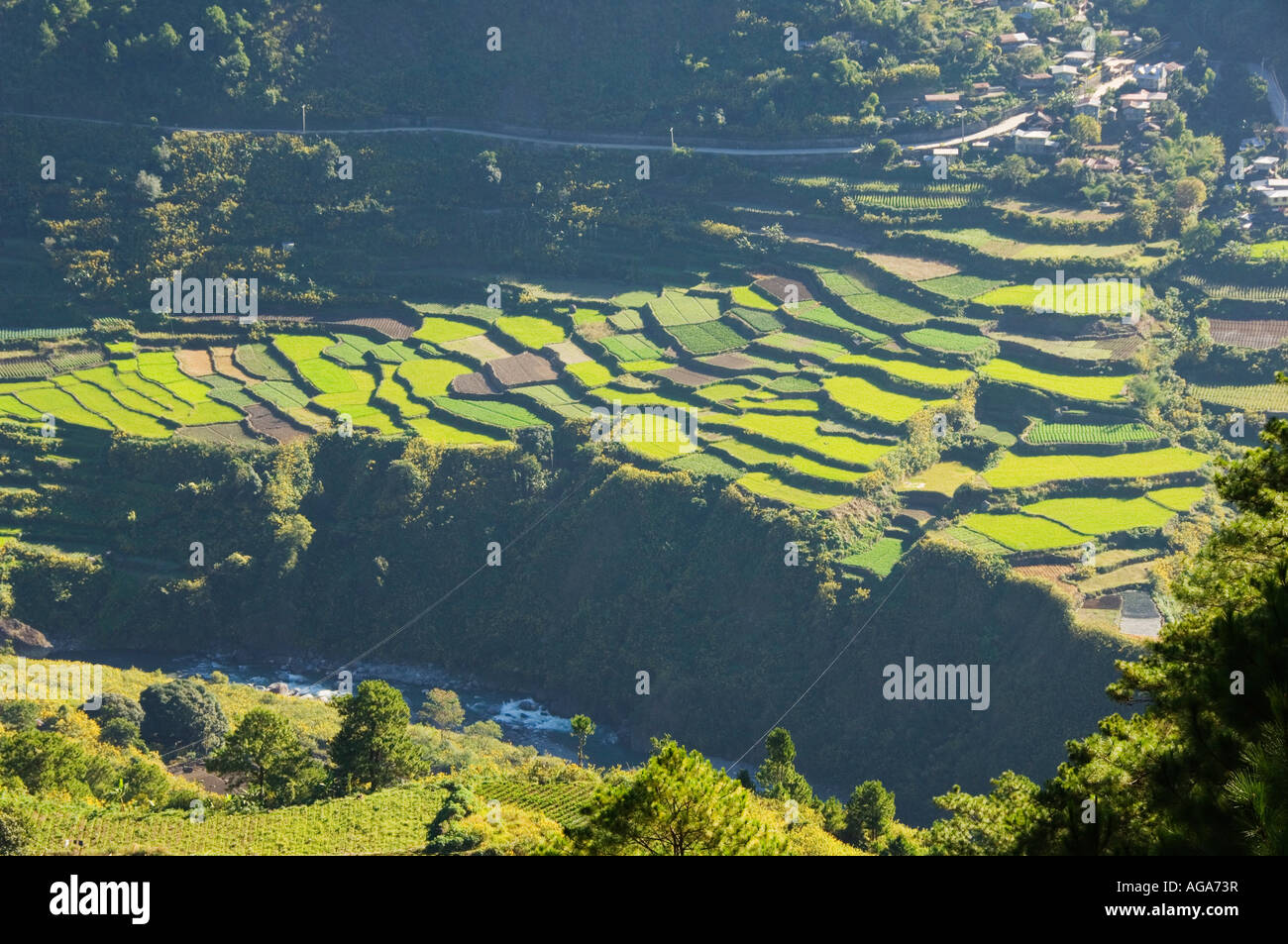 Philippines Luzon Island The Cordillera Mountains Kabayan Town Mount Pulag National Park Scenery of Mountains and rice fields Stock Photo