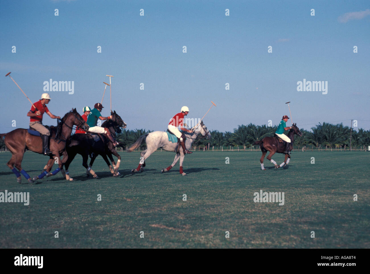 Jamaica Chukka Cove polo match players horses and mallets Stock Photo