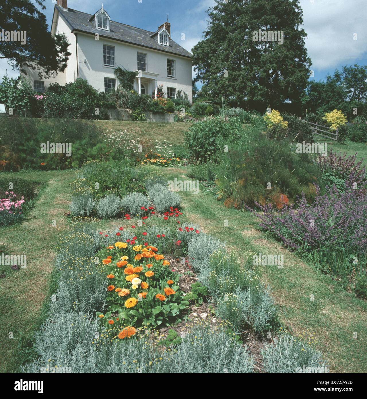 Looking across formal beds of flowers and herbs in sloping garden towards Georgian house beyond on a fine summer day Stock Photo