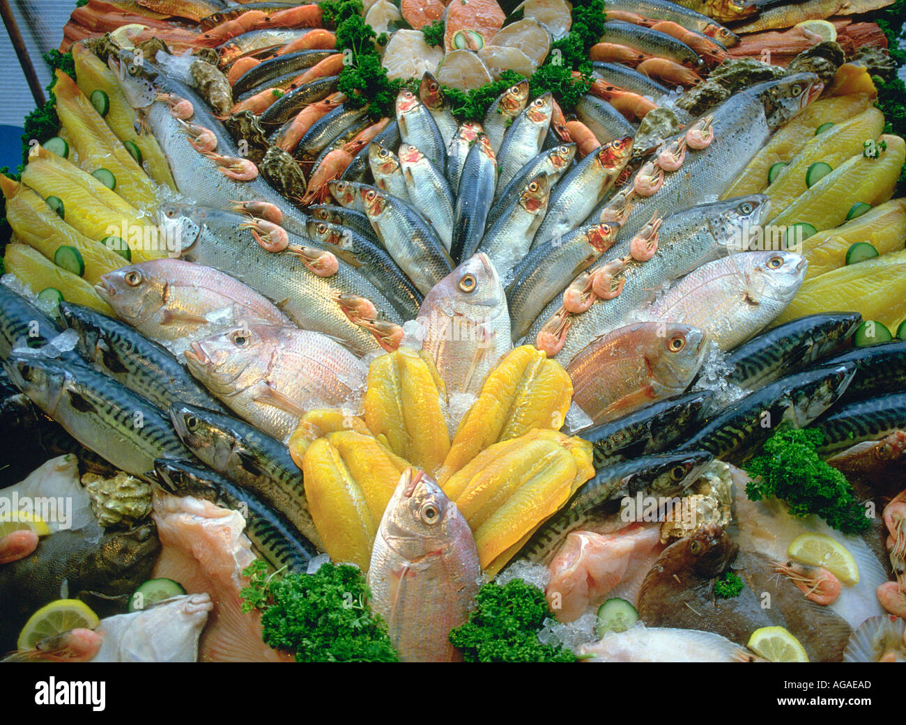 display of fresh sea food in market in Londo England Stock Photo