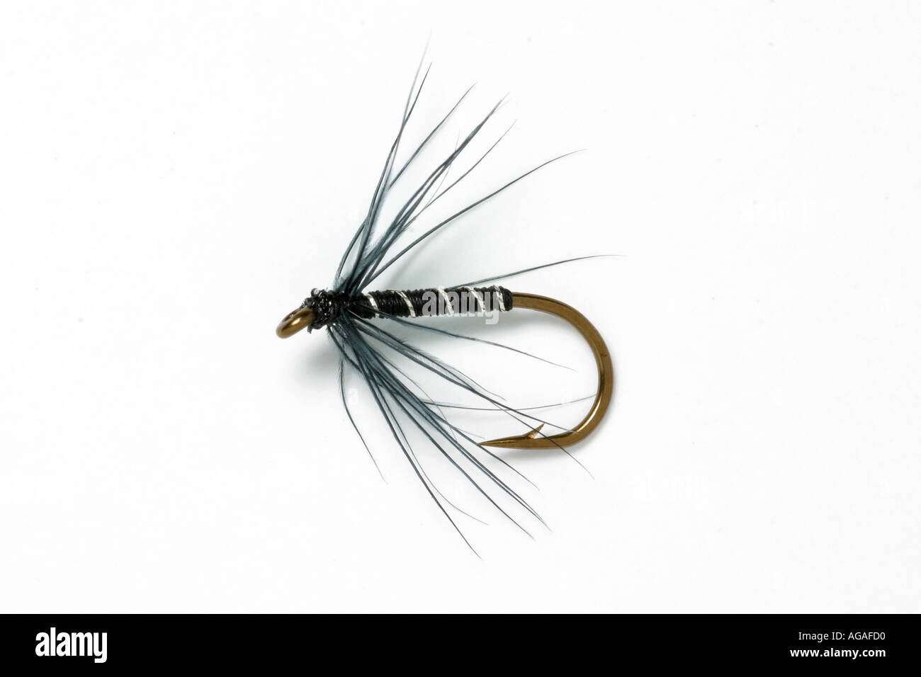 fishing fly Williams favourite spider Trout fly Stock Photo - Alamy