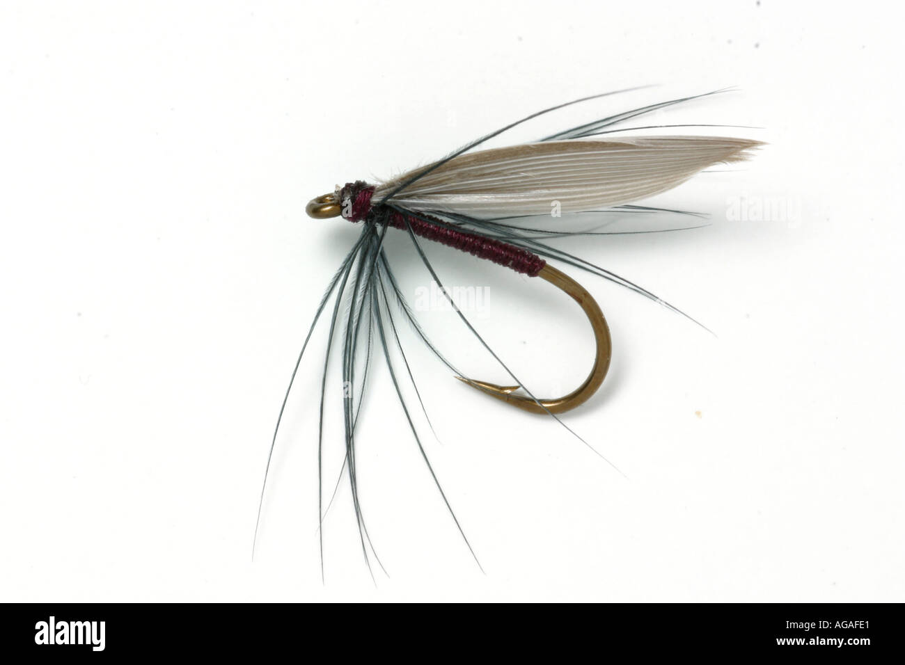 fishing fly Broughton s Point Trout fly Stock Photo Alamy