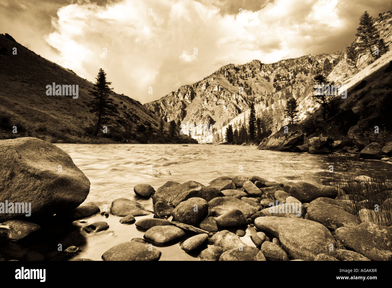 Middle Fork of the Salmon river the River or No Return in the Frank Church Wilderness of Idaho USA Stock Photo
