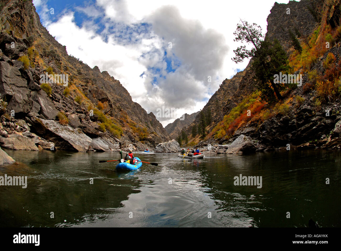 Autumn cast and blast a rafting and upland bird hunting trip on the Middle Fork of the Salmon river the River in Idaho. Stock Photo