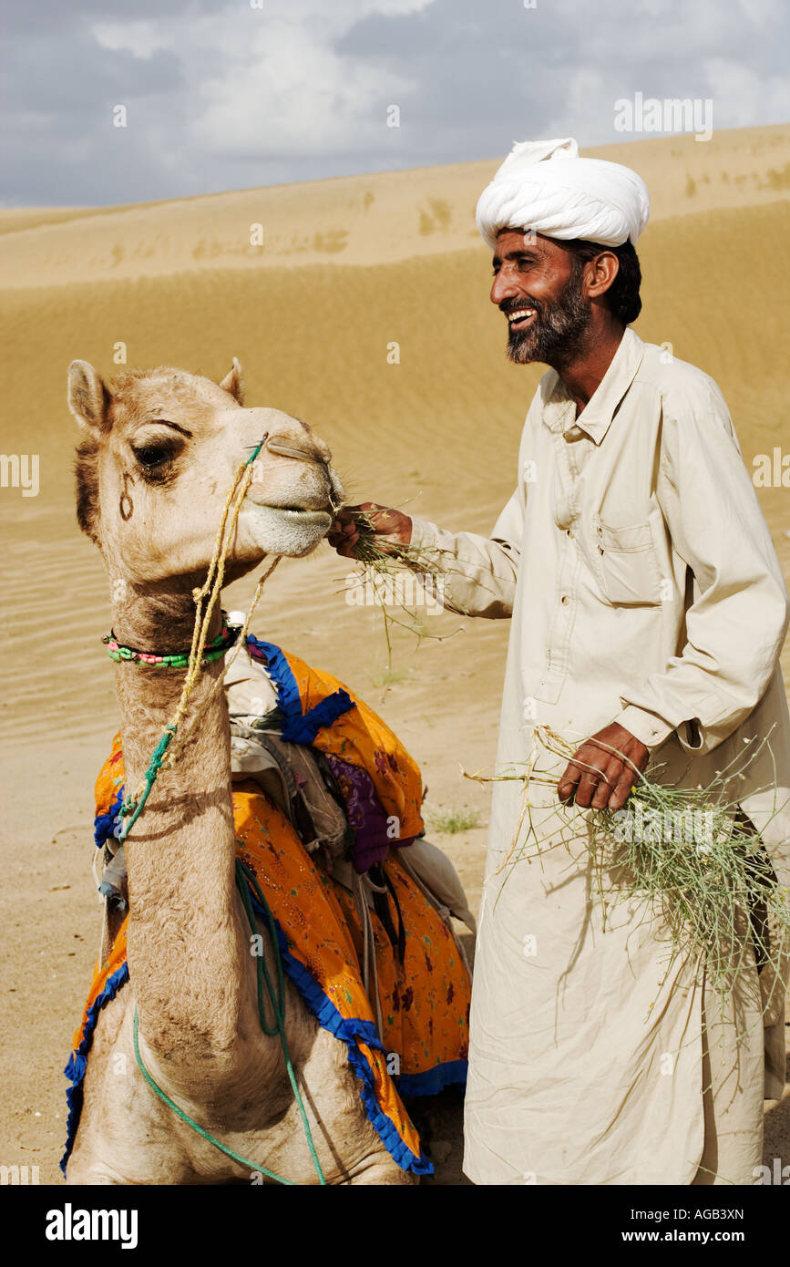 Camel being fed by his owner Great Thar desert Rajasthan India Model Released Stock Photo