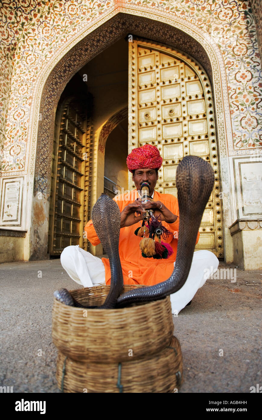 Snake charmer in front of the City Palace Complex in Jaipur Two spectacle cobras in striking pose India Model Released Stock Photo