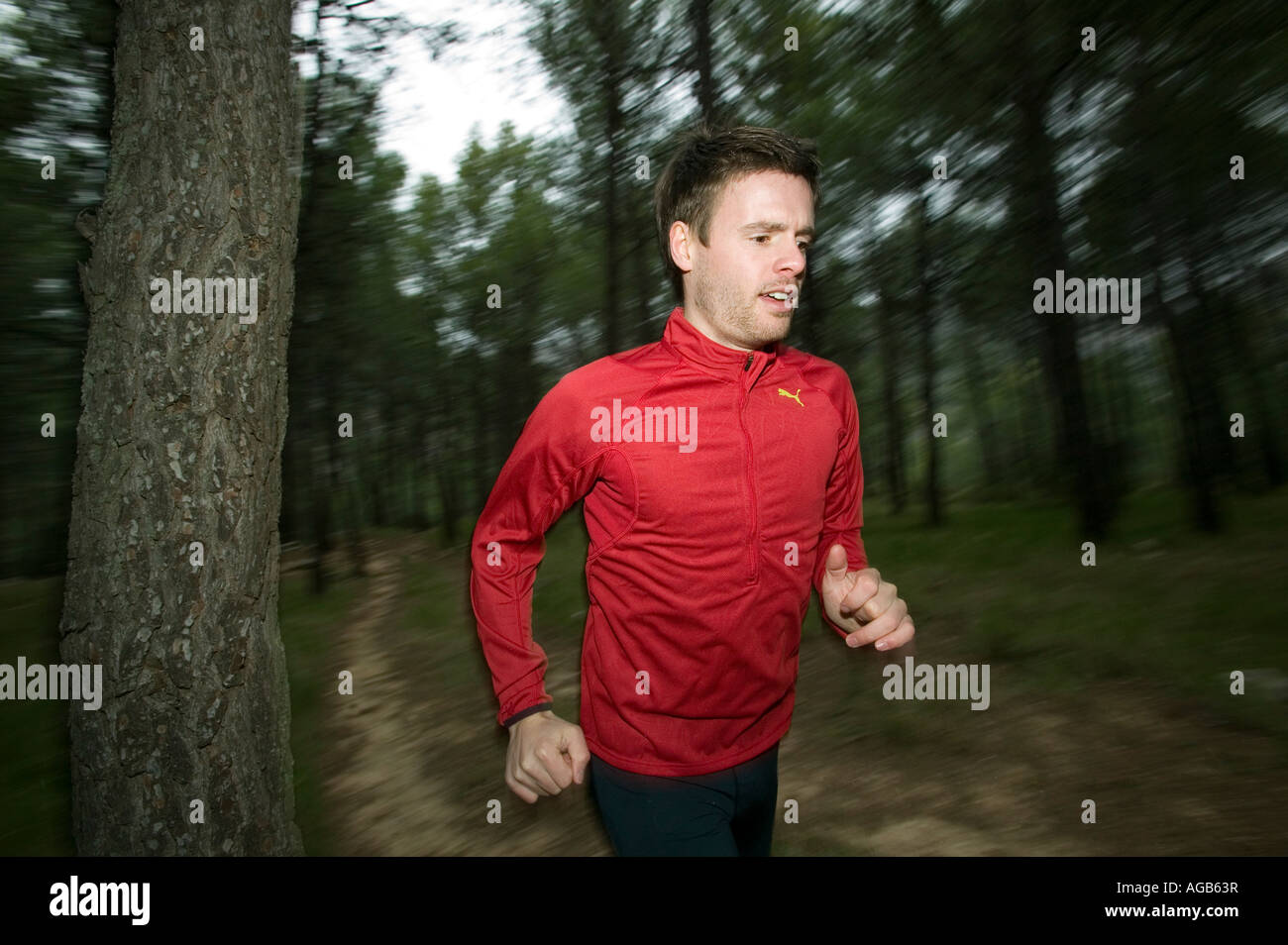 Male runner on forest trail Stock Photo