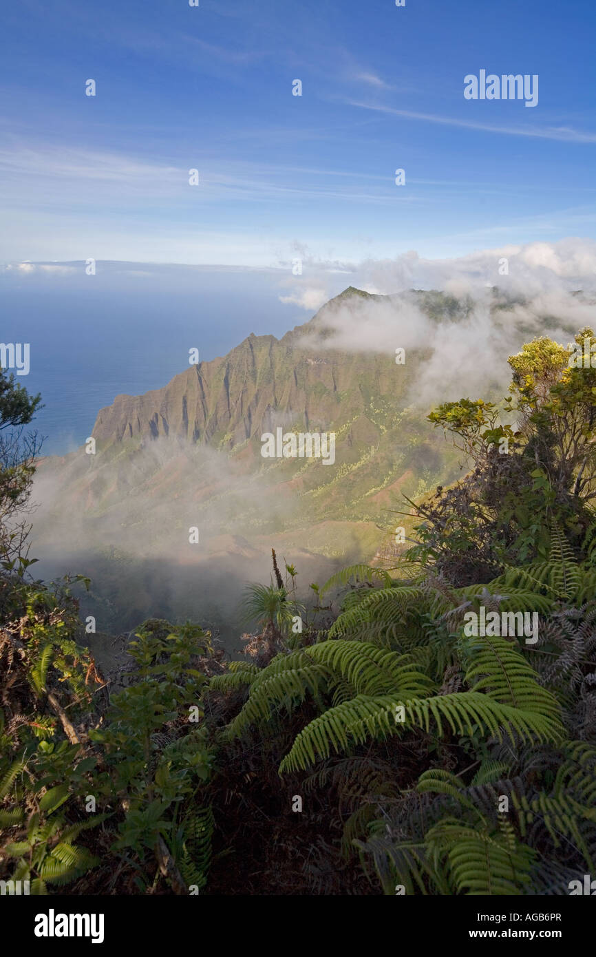 Kalalau Lookout Kokee State Park Kauai Hawaii Stock Photo Alamy