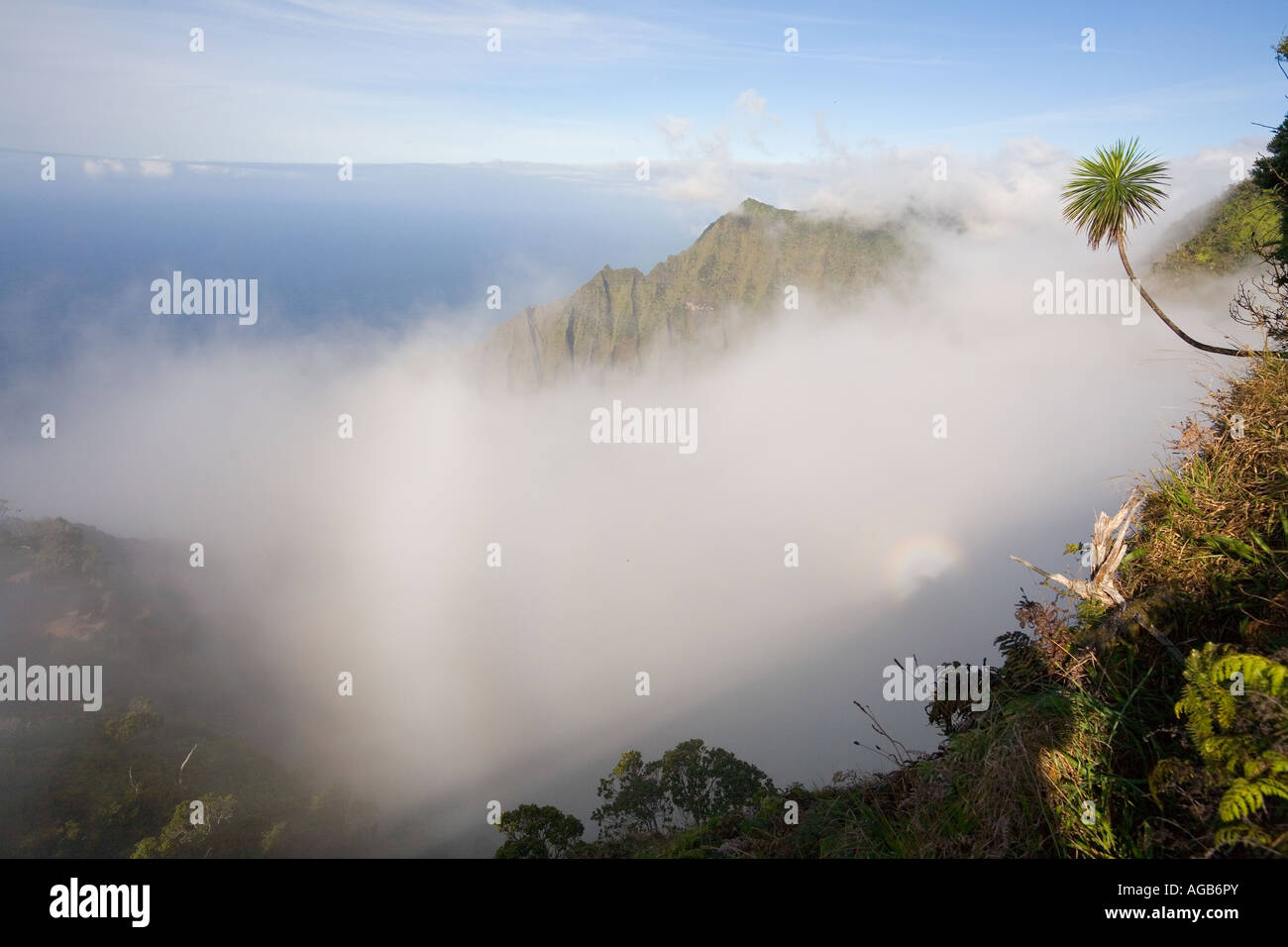 Kalalau Lookout Kokee State Park Kauai Hawaii Stock Photo Alamy