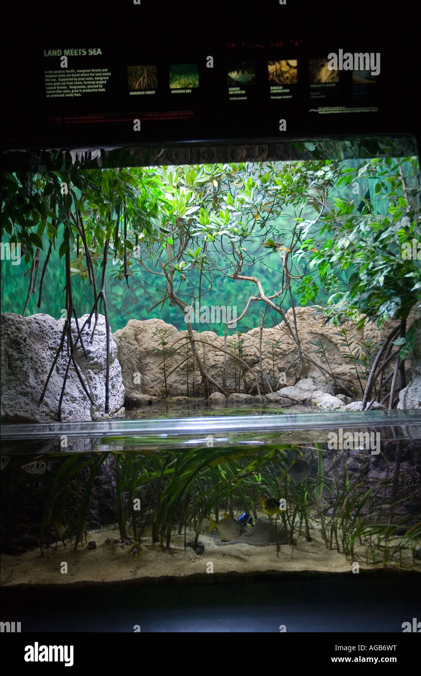 Waikiki Aquarium Waikiki Oahu Hawaii Stock Photo Alamy