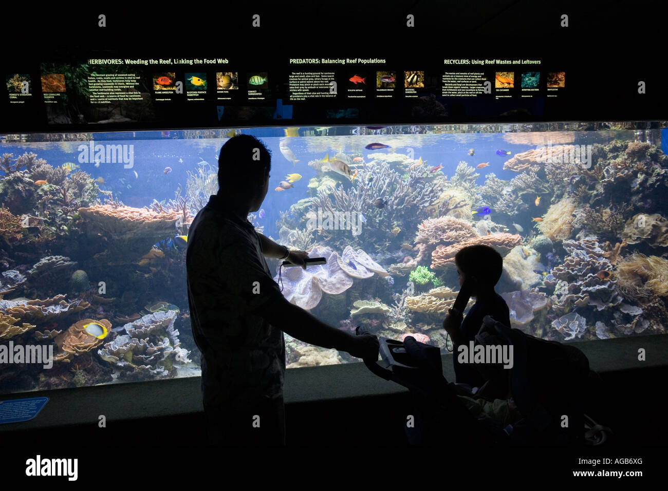 Waikiki Aquarium Waikiki Oahu Hawaii Stock Photo Alamy