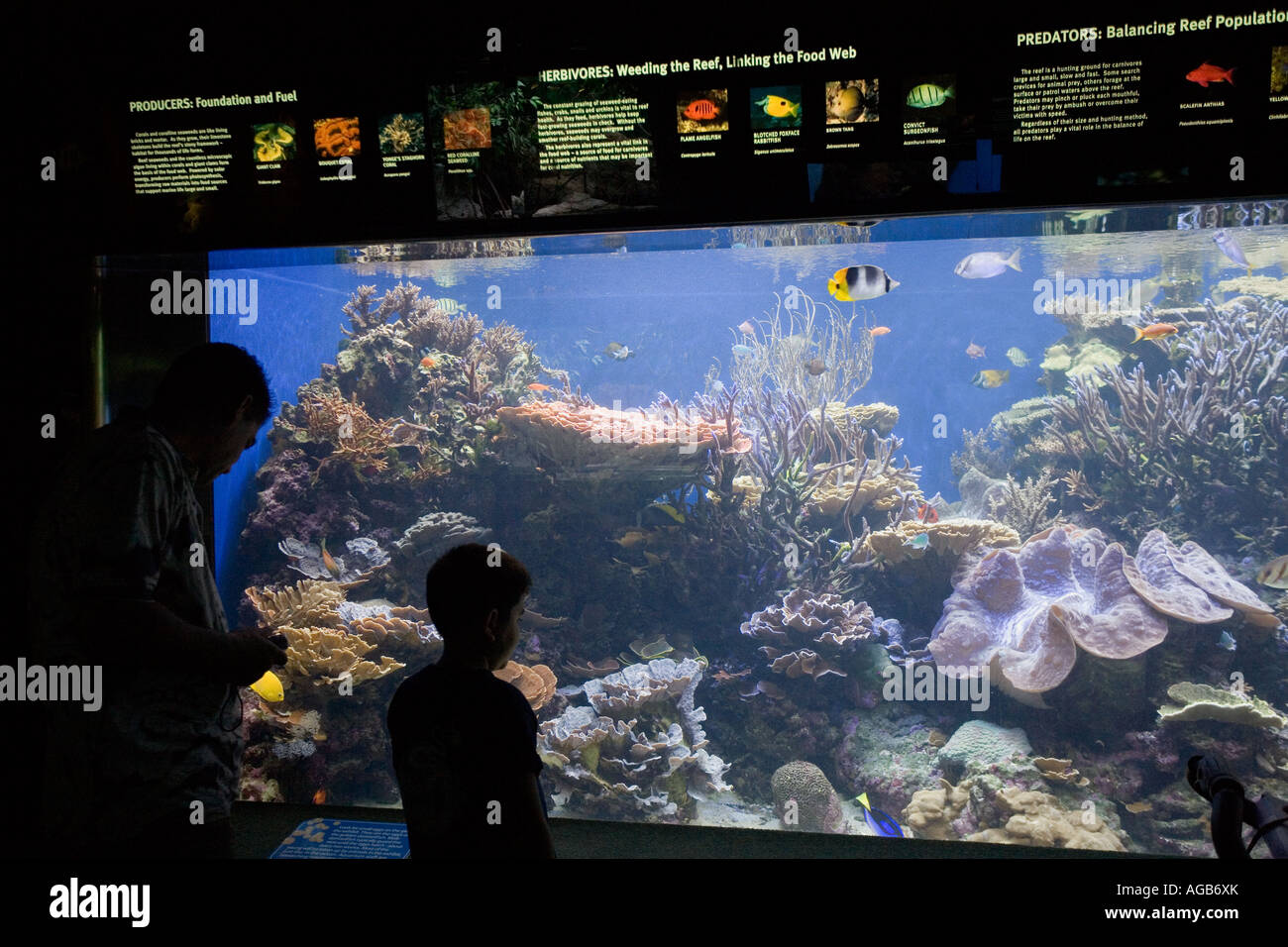 Waikiki Aquarium Waikiki Oahu Hawaii Stock Photo Alamy