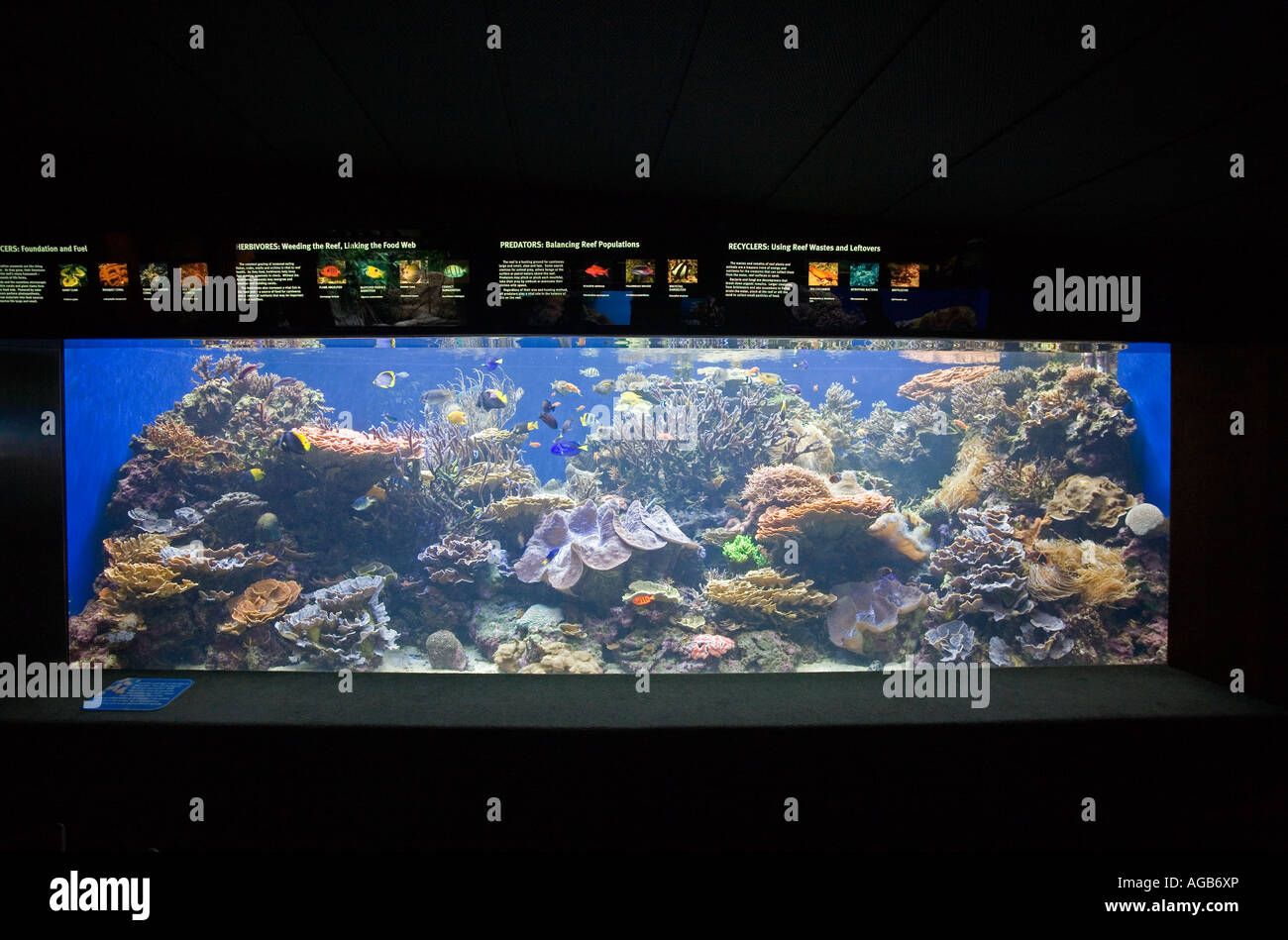 Waikiki Aquarium Waikiki Oahu Hawaii Stock Photo Alamy