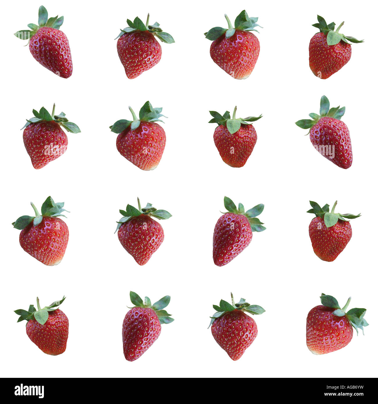 Strawberries arranged in rows. Stock Photo