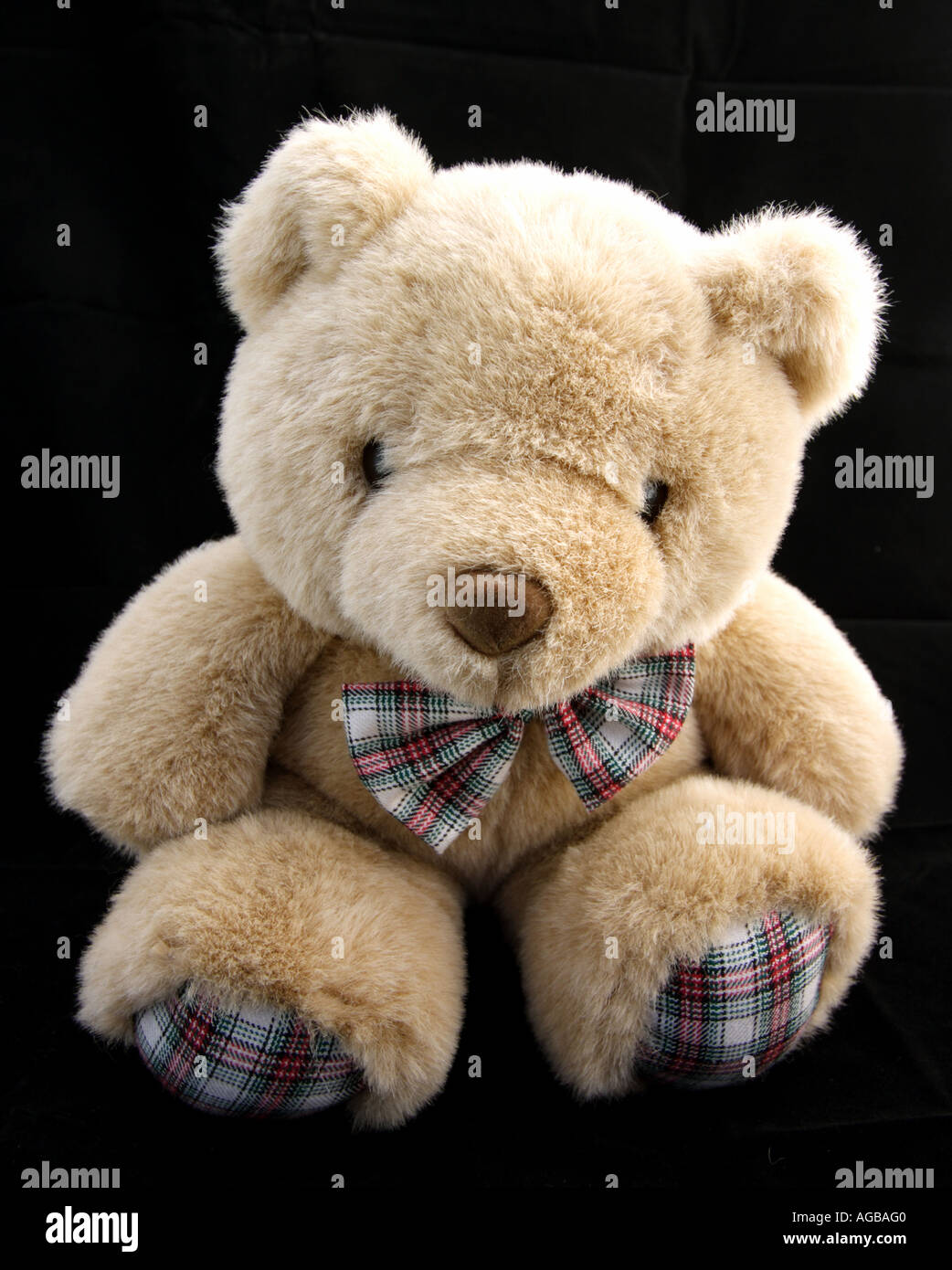 CUTE TEDDY BEAR BLACK BACKGROUND VERTICAL BAPDB8181 Stock Photo - Alamy