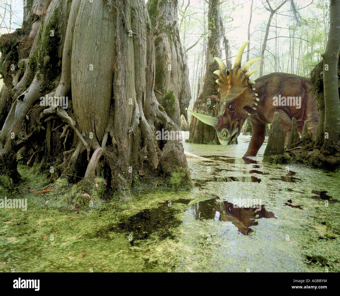 Styrachosaurus dinosaur in swamp Stock Photo