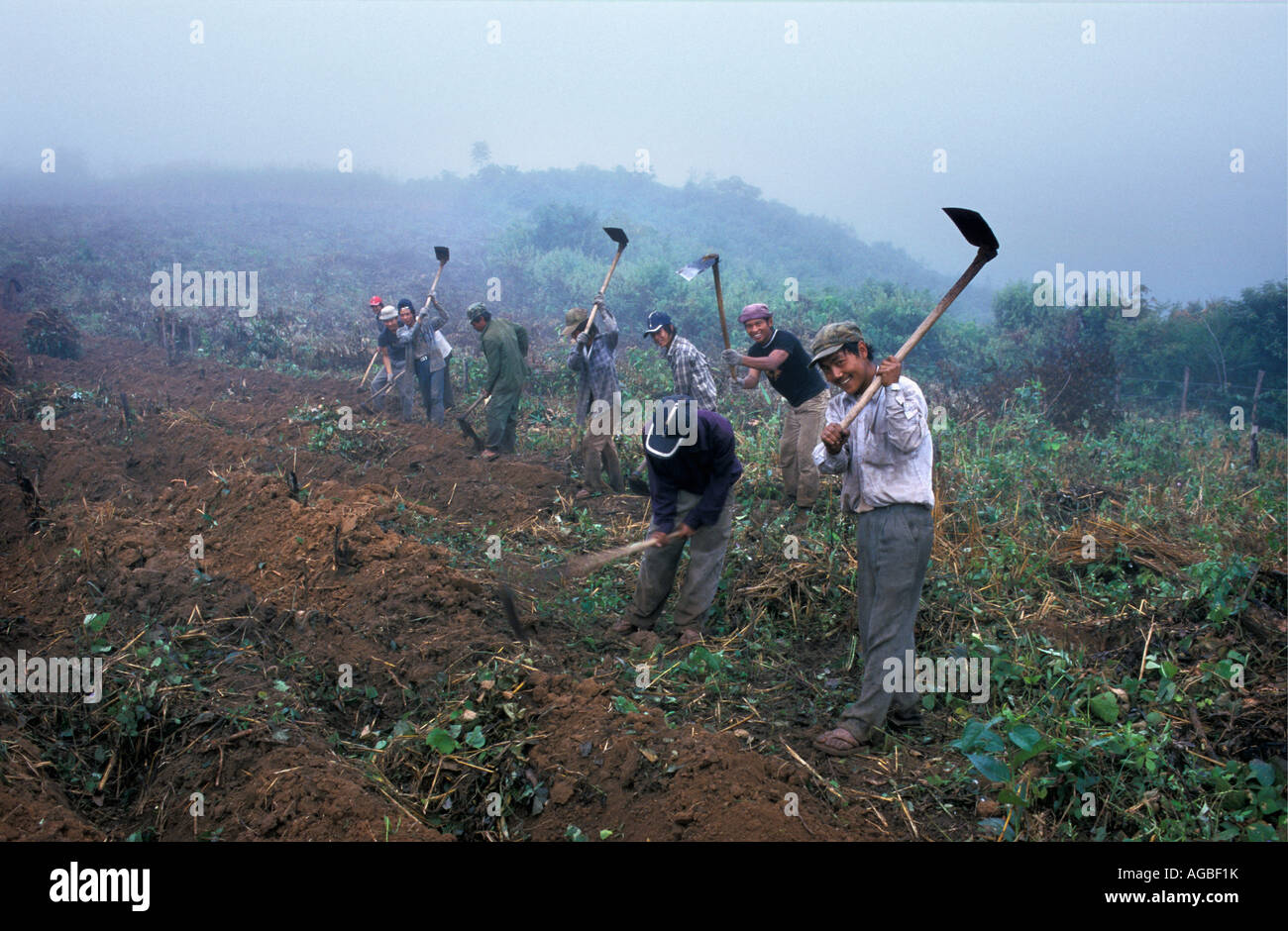 Laos, Luang Namtha, Chinese immigrant workers preparing land of owners Stock Photo