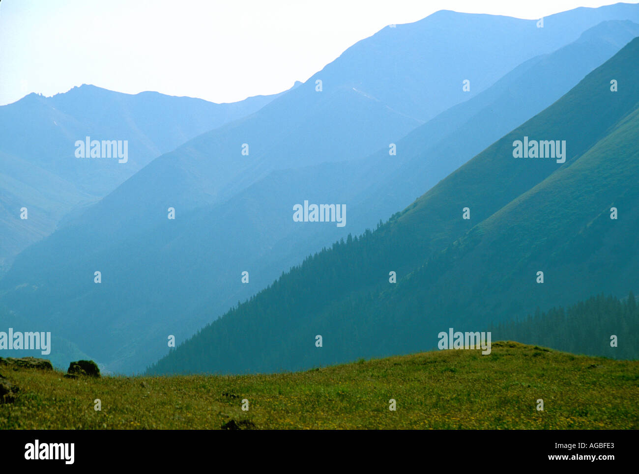 Colorado Rocky Mountains and alpine meadow Stock Photo - Alamy