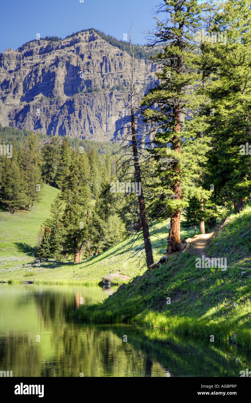American lake trout hires stock photography and images Alamy
