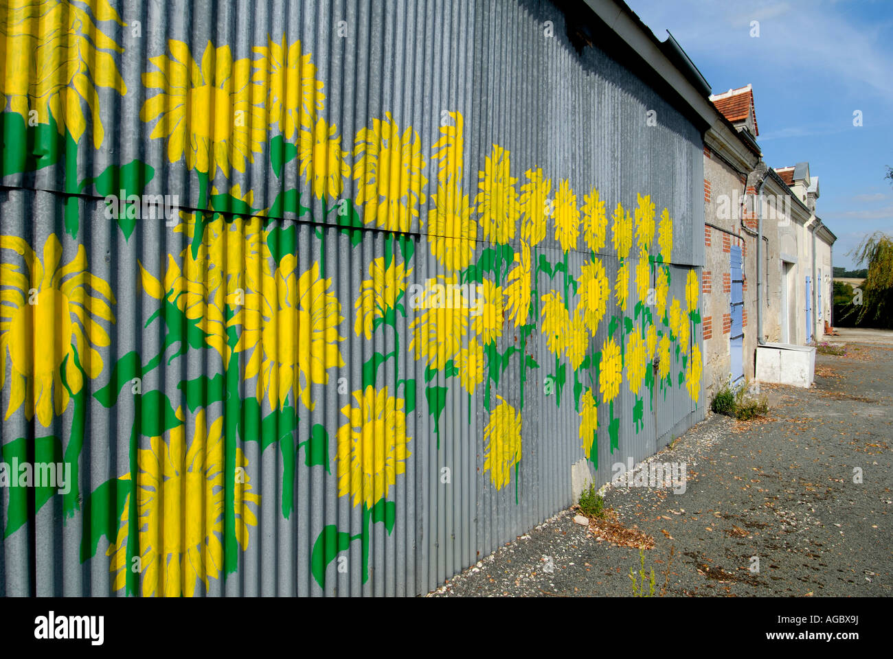 Sunflowers painted on corrugated metal barn wall, sud-Touraine, France. Stock Photo