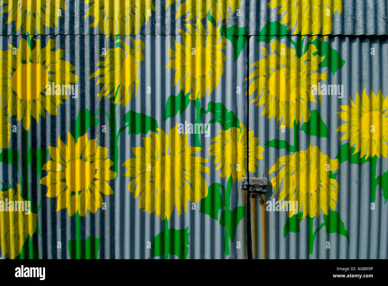 Sunflowers painted on corrugated metal barn wall, sud-Touraine, France. Stock Photo