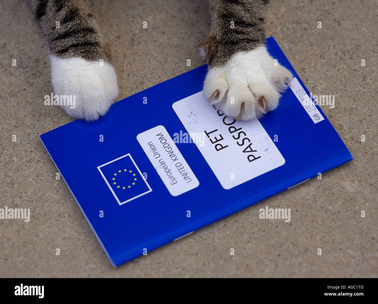 A United Kingdom and European Union Pet Passport. Stock Photo