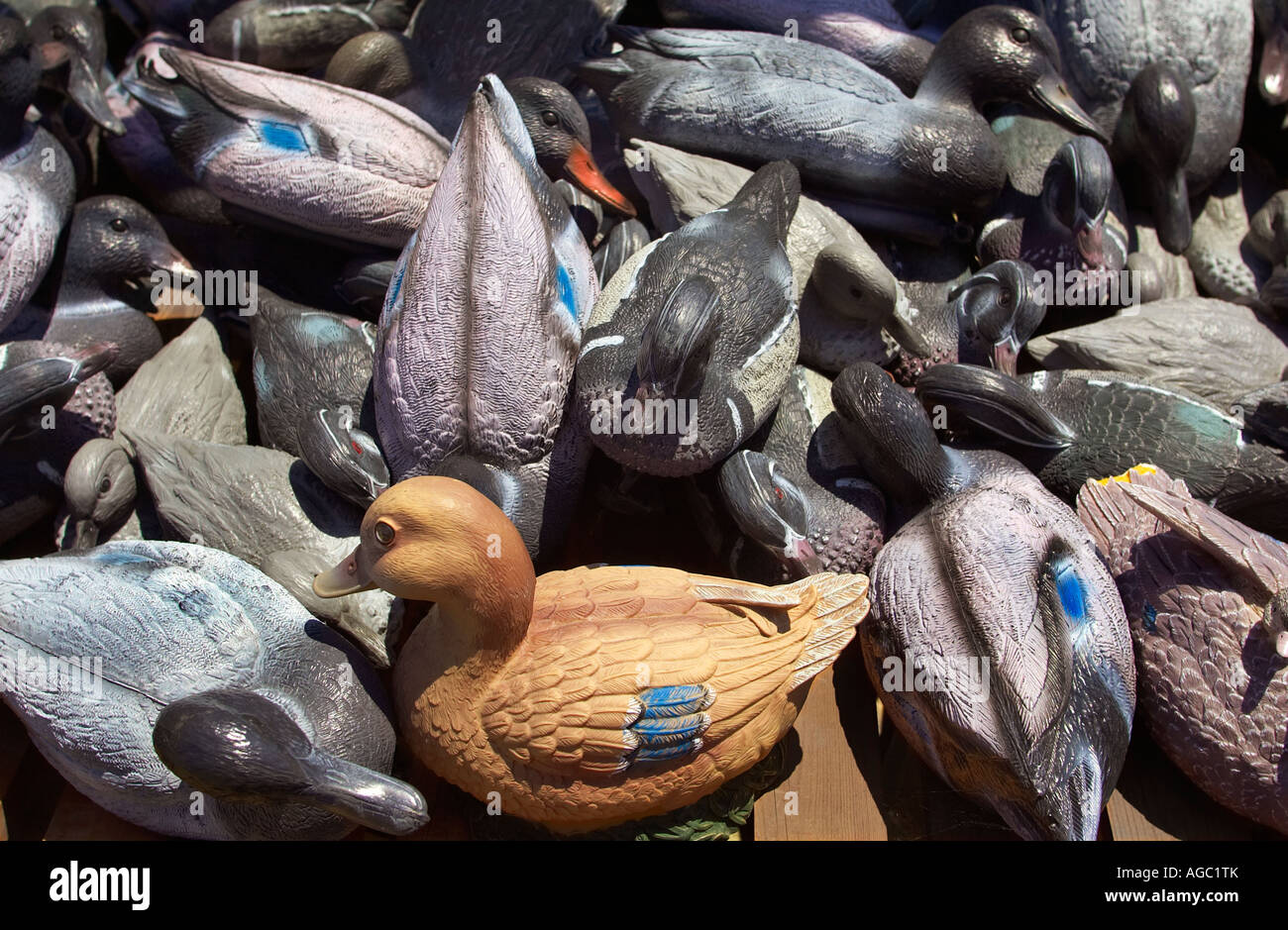 Plastic ducks for use as garden pond features Stock Photo Alamy