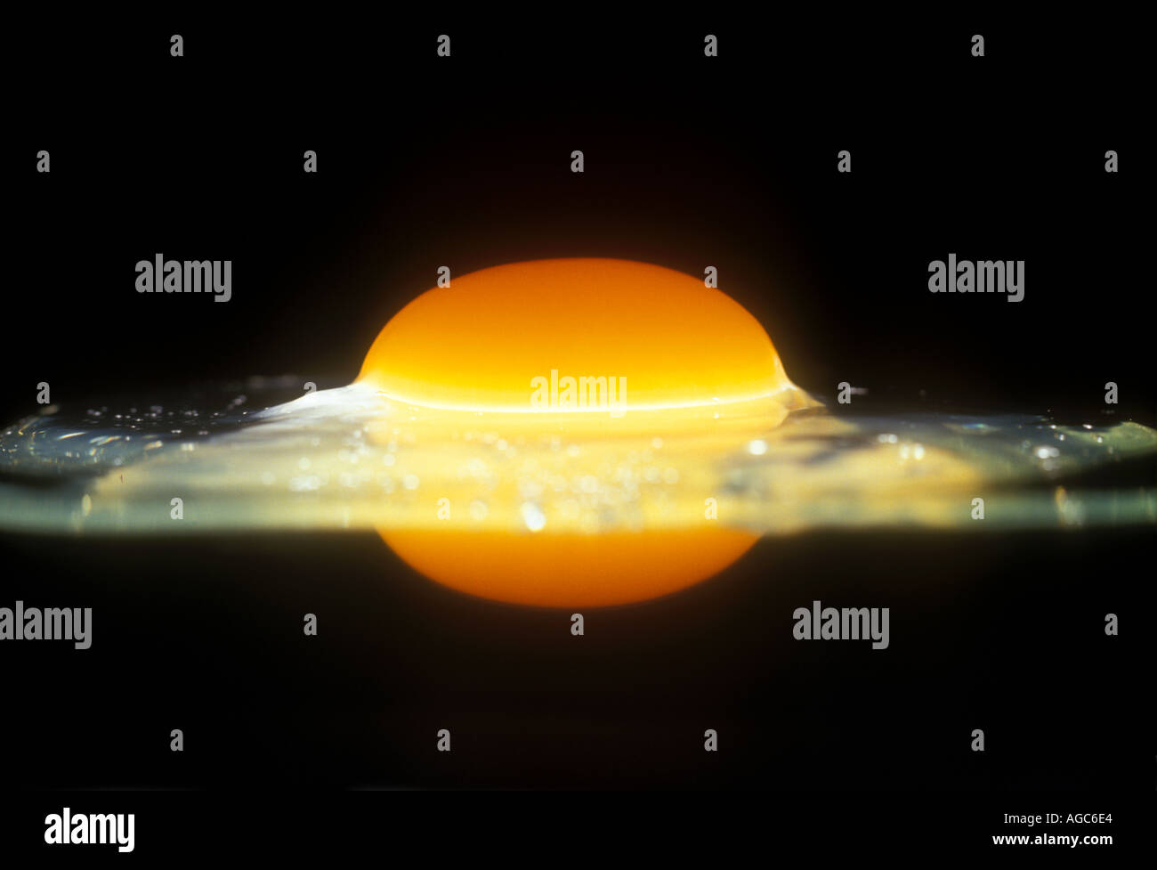 Egg yolk with reflection Stock Photo
