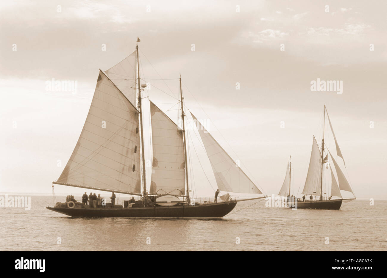 Sepia image of the restored 1909 British built gaff rigged schooner Hoshi under sail in calm sea Stock Photo
