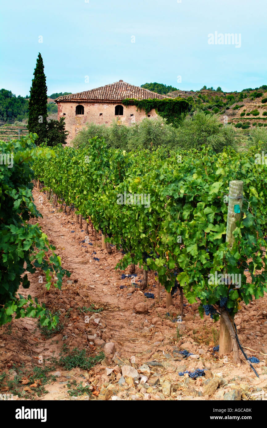 Priorat hi-res stock photography and images - Alamy