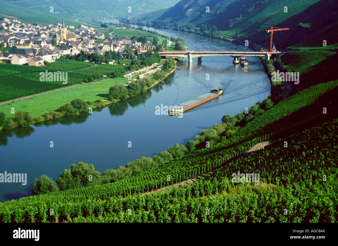 Europe Germany Mosel River vineyards wine near Trittenheim Stock Photo