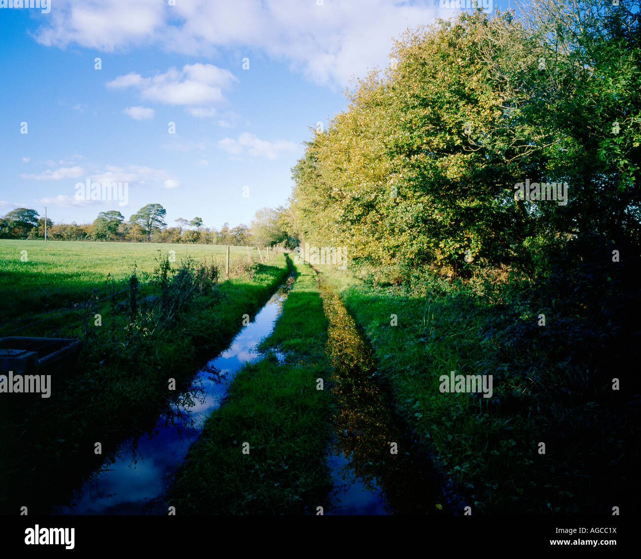 a flooded country path next to a field in Ireland Stock Photo