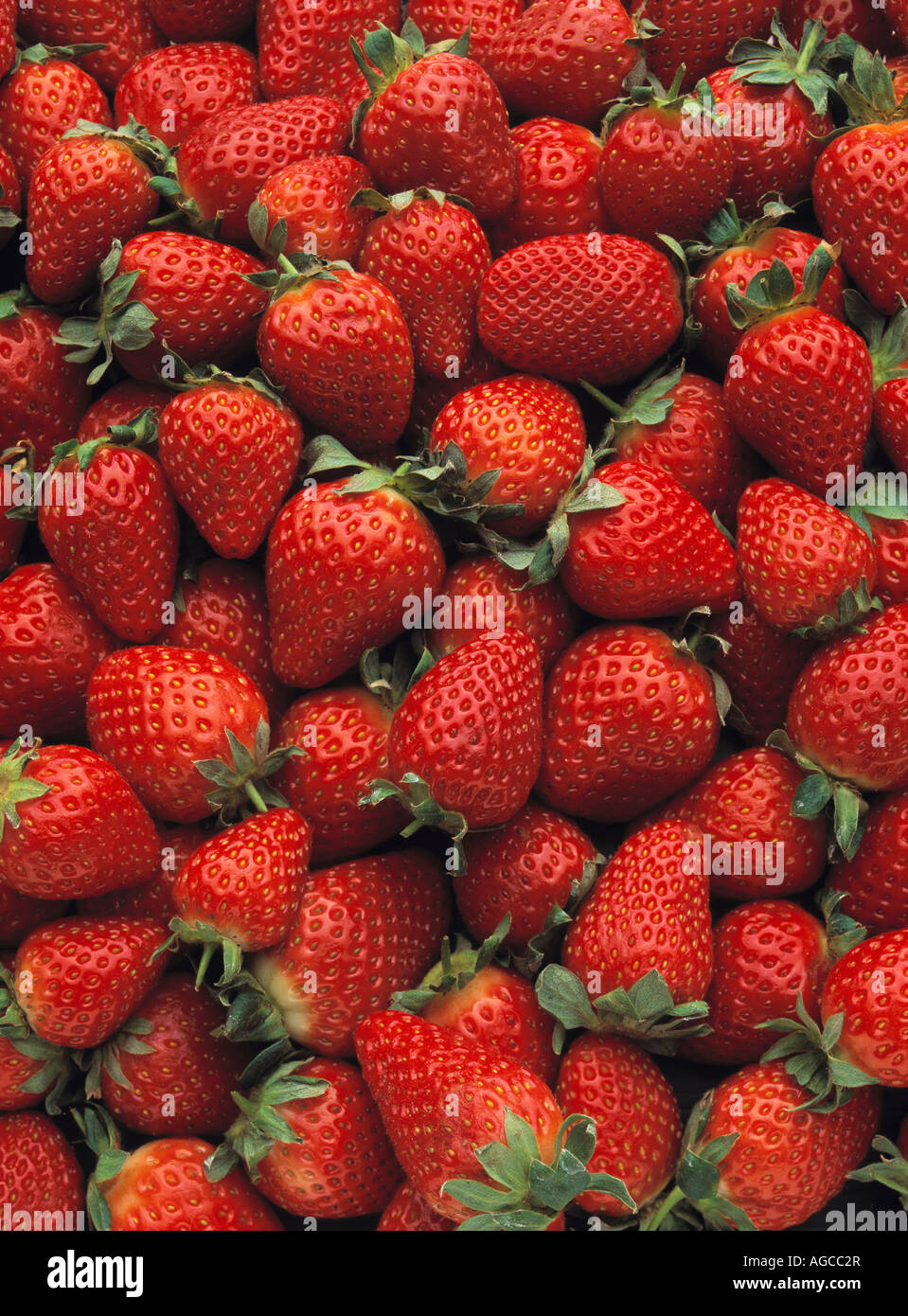 Pile fresh red ripe strawberries hi-res stock photography and images ...