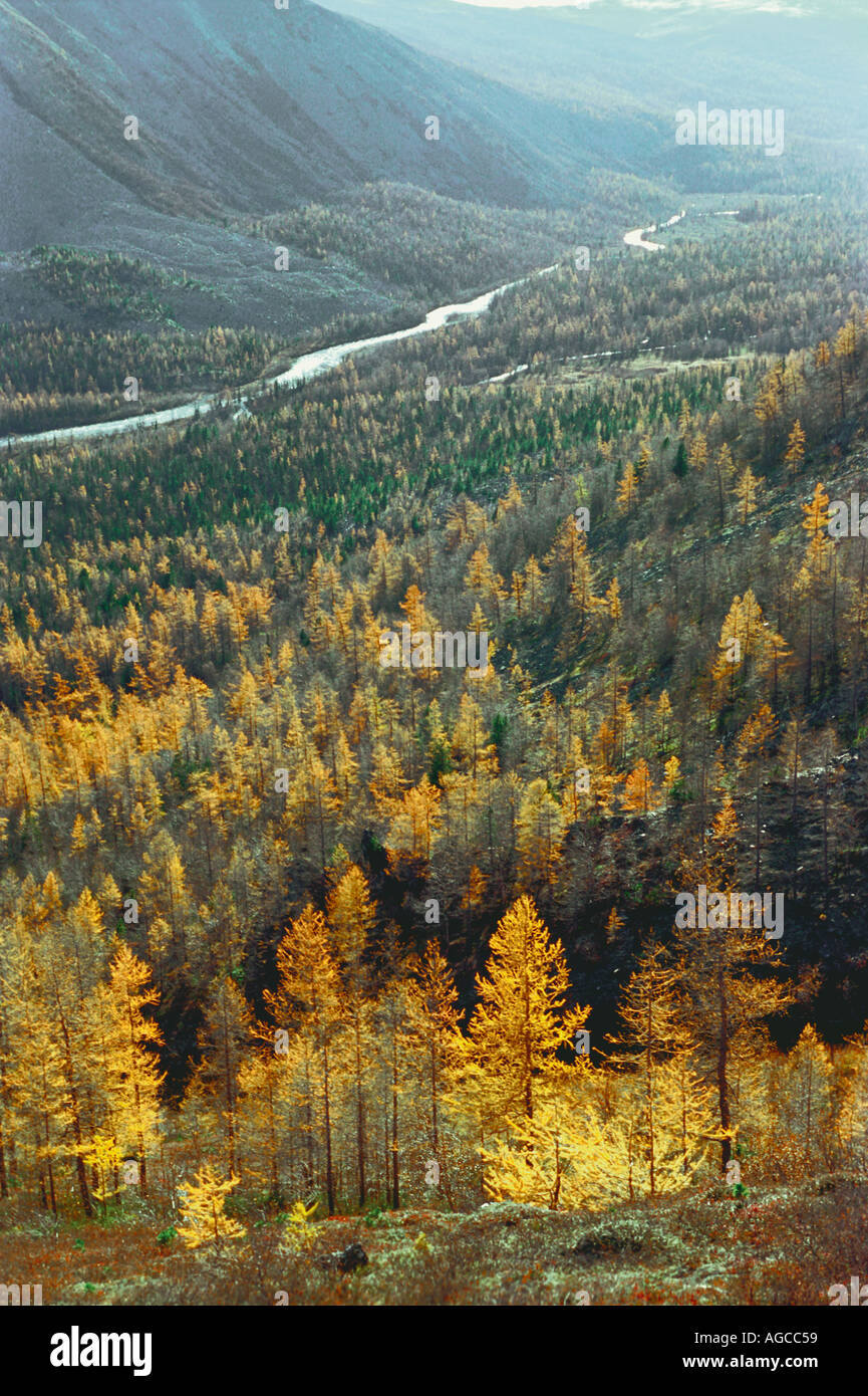 Aerial photo of boreal forest hi-res stock photography and images - Alamy