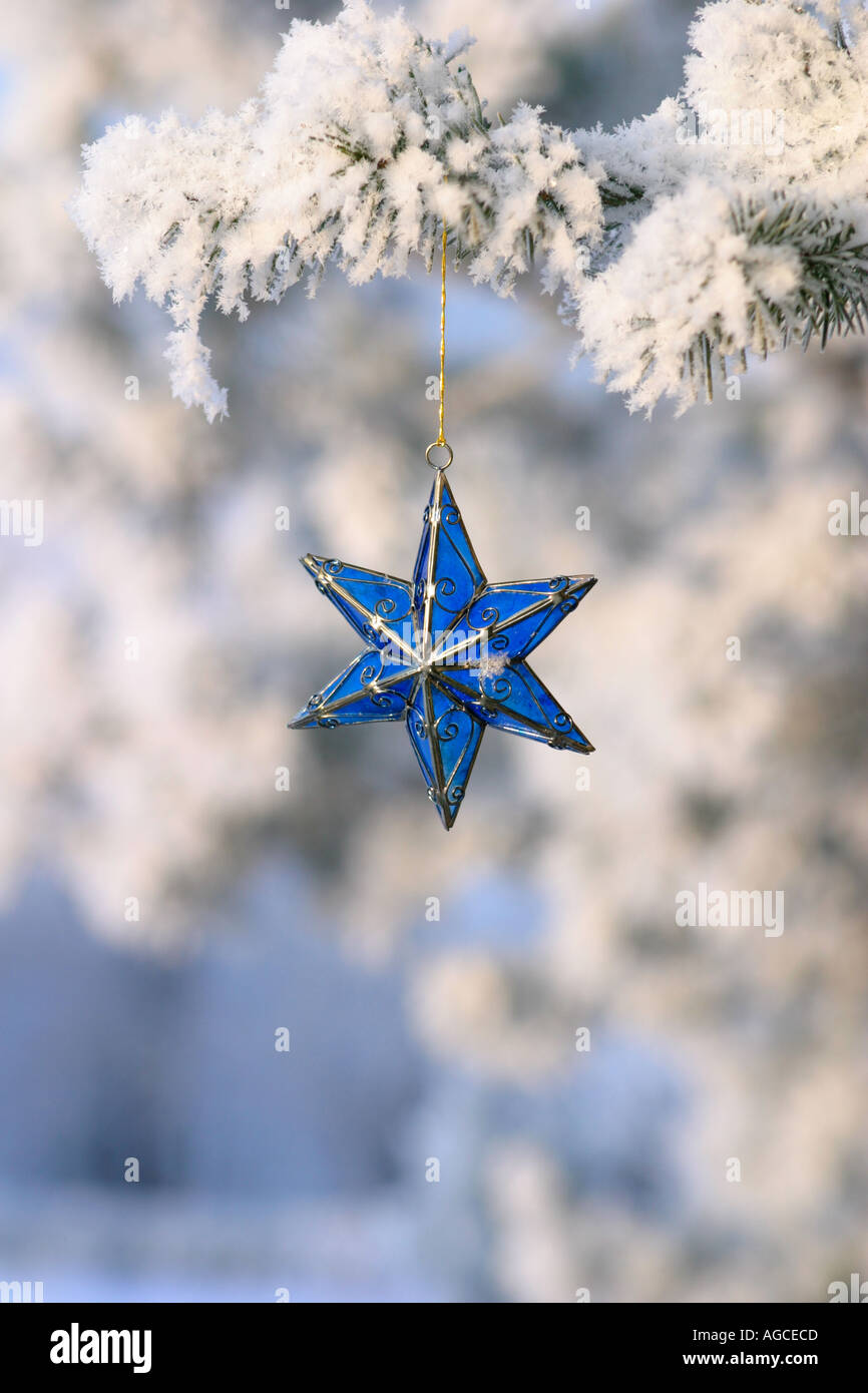 Blue ornament on branch hi-res stock photography and images - Alamy