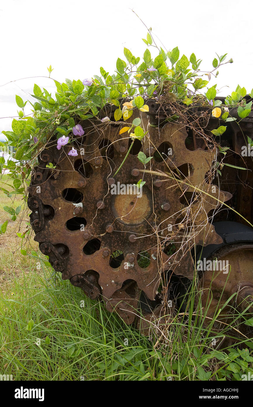 World War II tank rusting in the jungle, Papua New Guinea Stock Photo