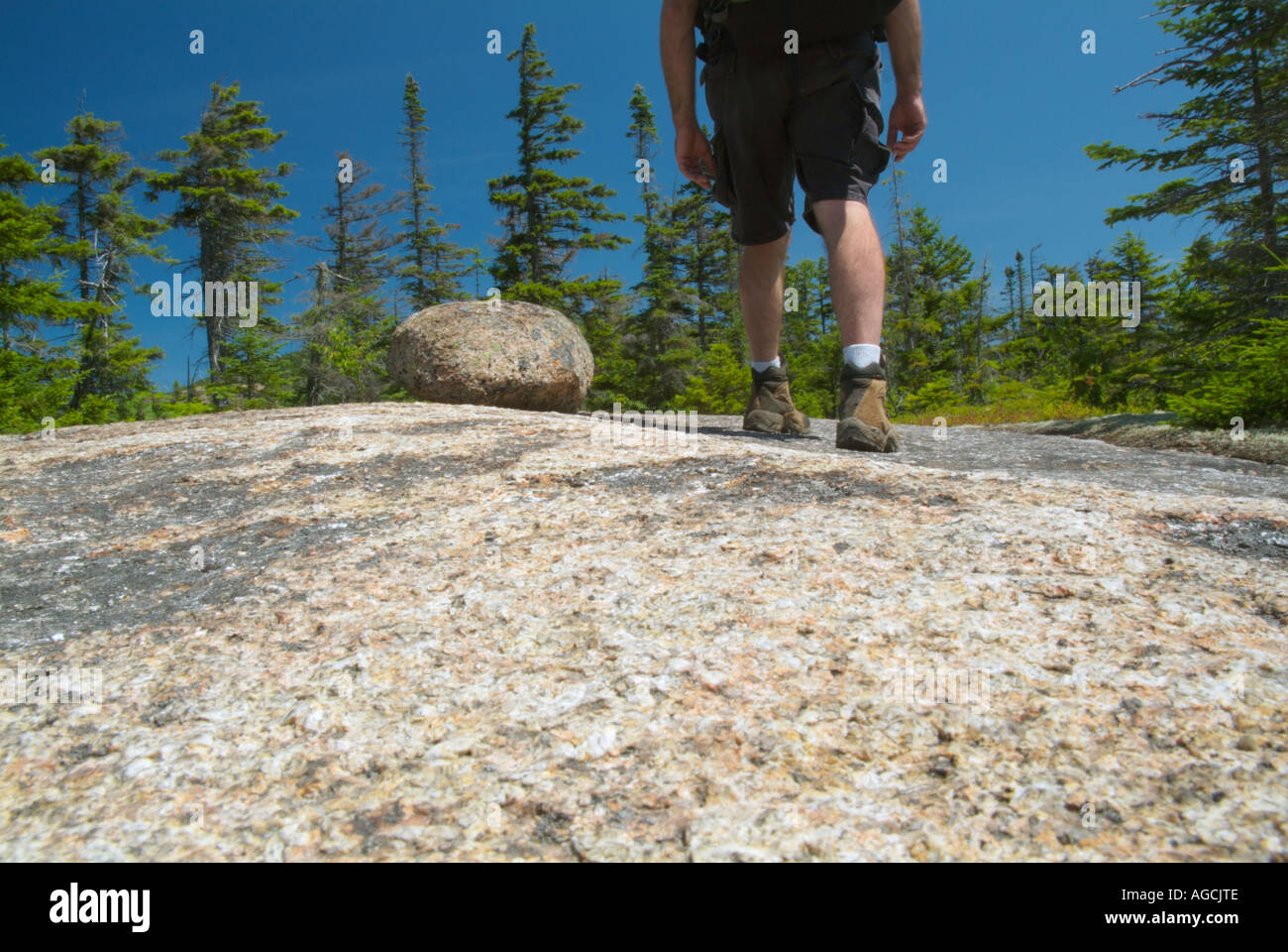 Legs of a backpacker hiking on Davis Path near Mount Crawford in the