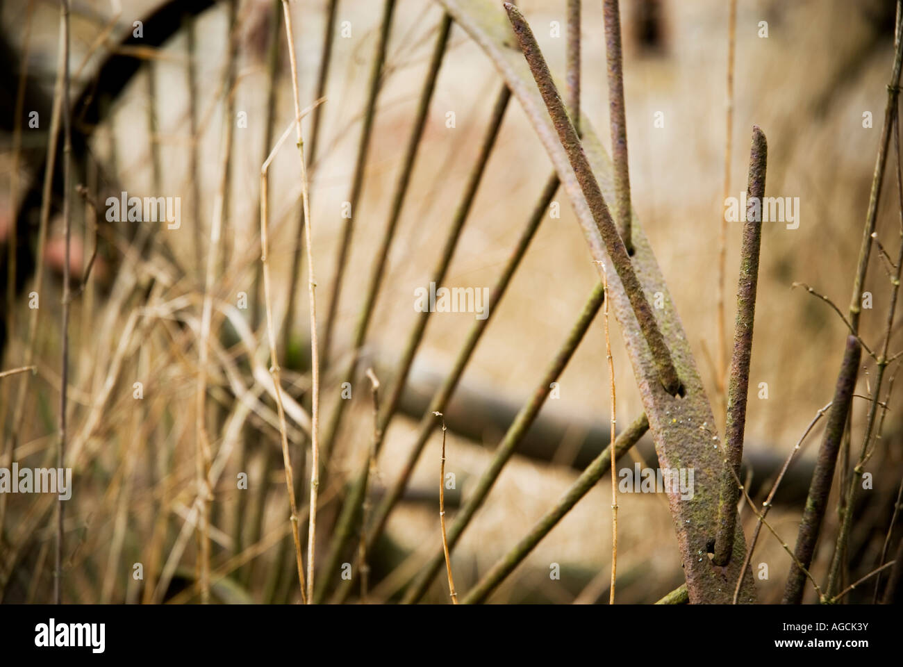 old farm equipment, Germany Stock Photo
