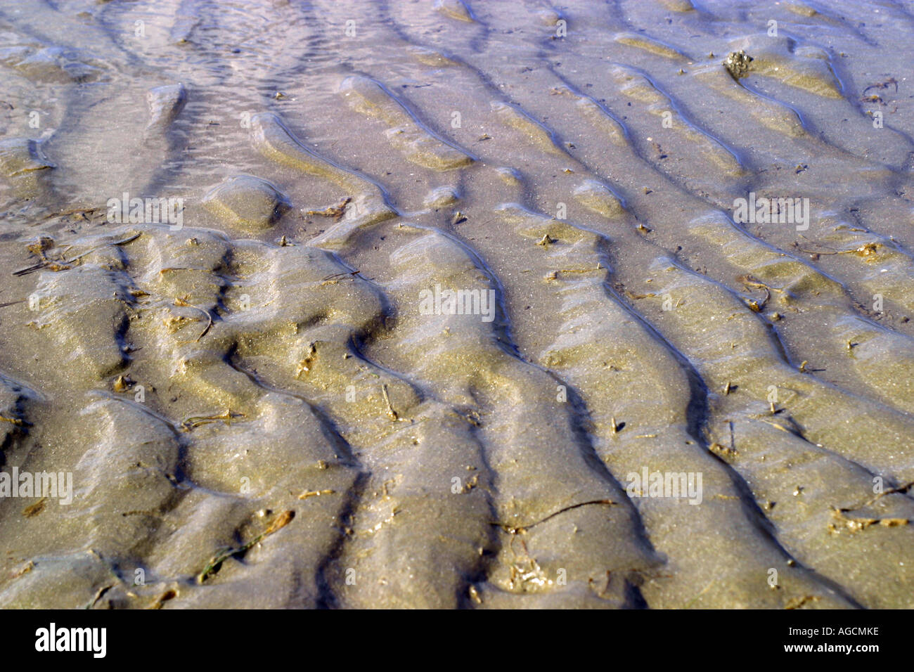 Ripples in the sand Stock Photo - Alamy