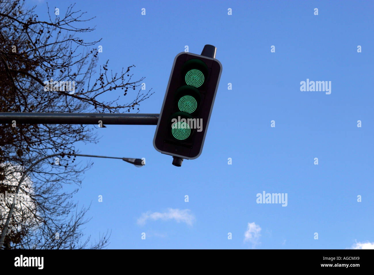 Traffic Light on Green Go Go Go Stock Photo Alamy