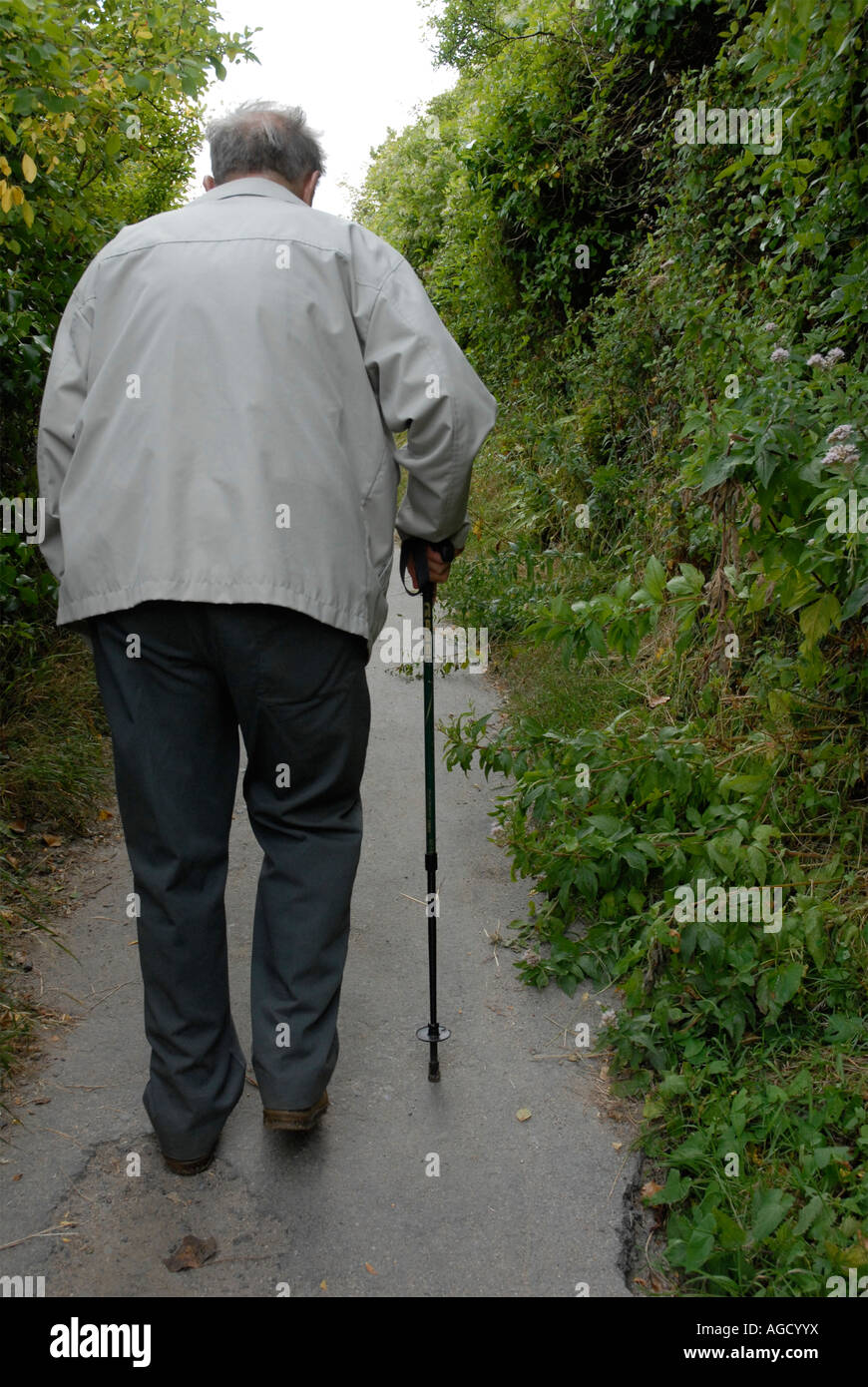 Rear view of an elderly man walking in the country with a walking stick ...