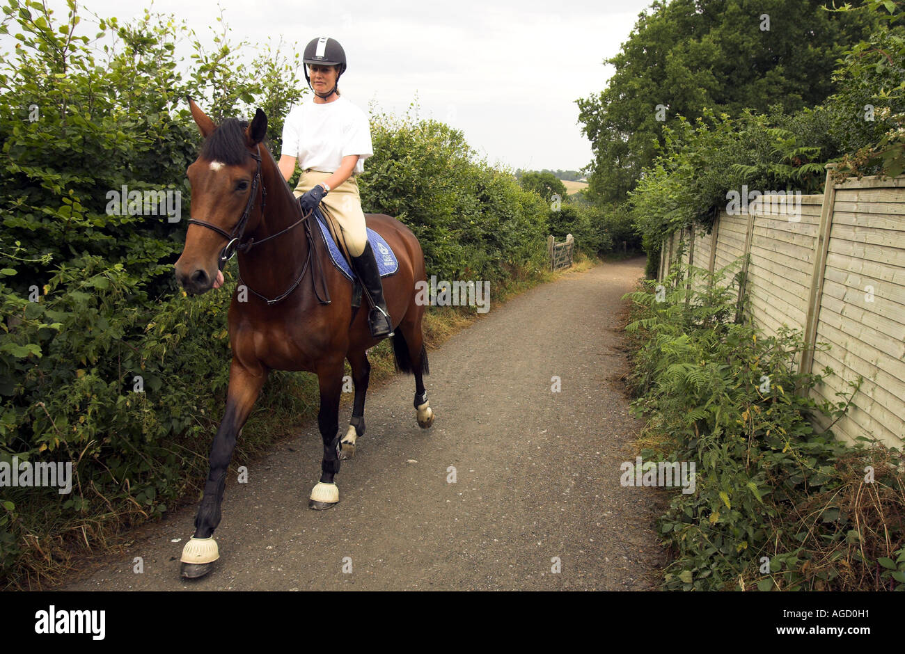 Woman out Horseriding, Ashdown Forest, Sussex, UK Stock Photo