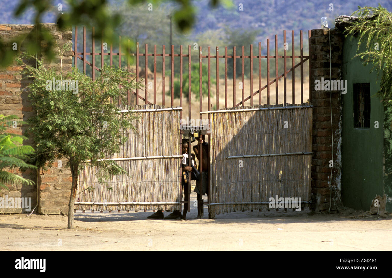 Malawi Africa Fat Monkeys lodge gate with local boys, Monkey bay Stock Photo