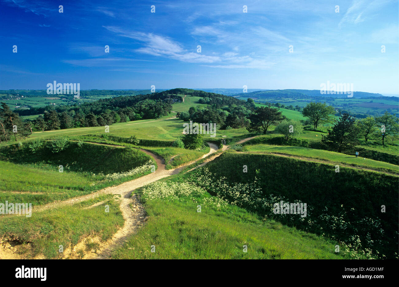 The Cotswold Way path Painswick Beacon Stock Photo Alamy
