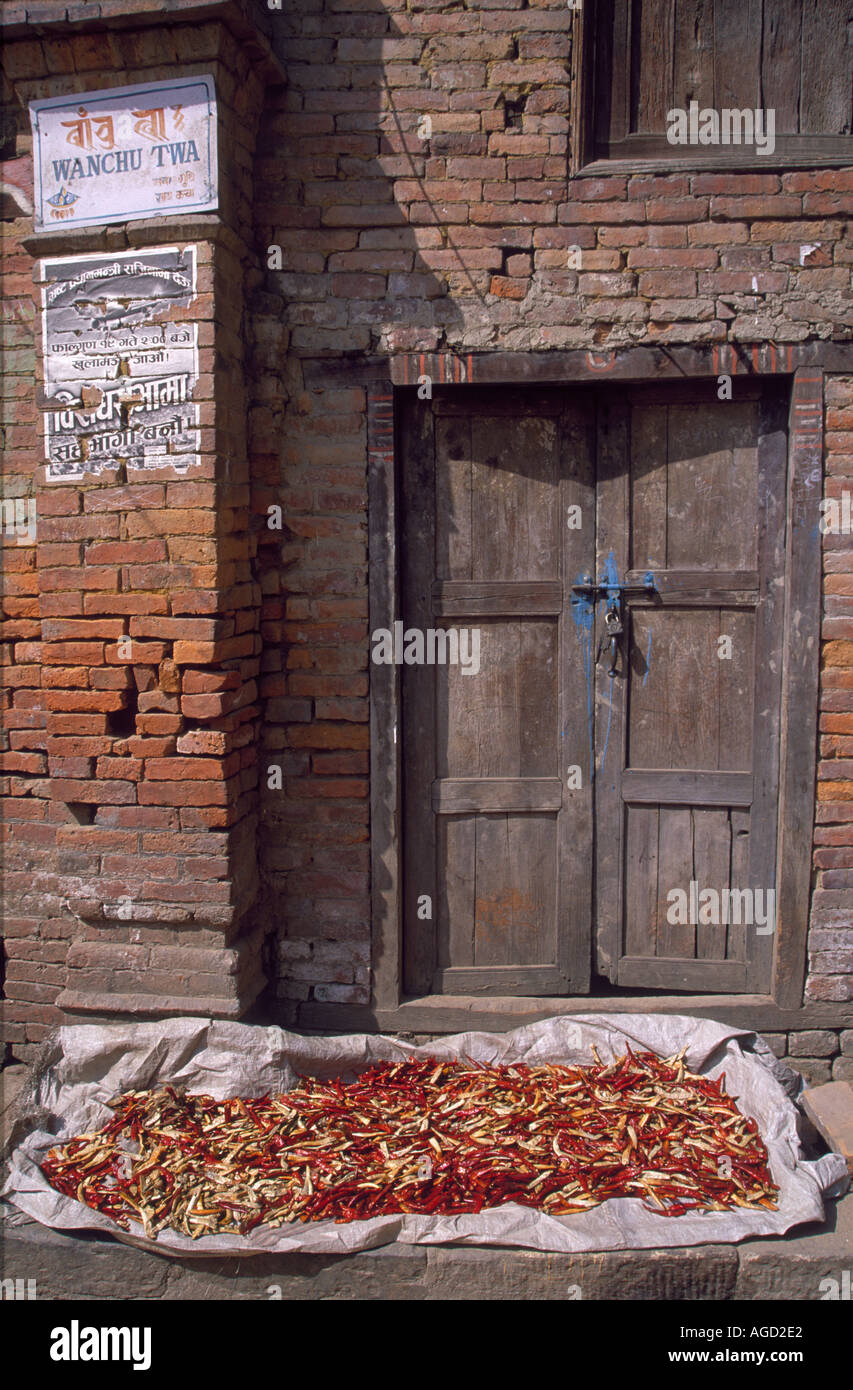 Chilli peppers drying Kathmandu Nepal Stock Photo