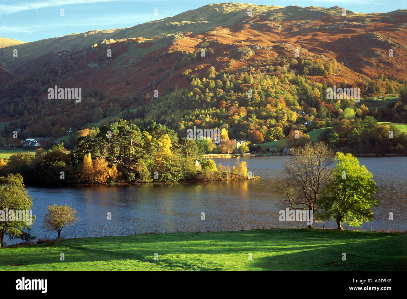 The home of William Wordsworth up to 1812 Grasmere is set in the Lake District from where Wordsworth produced much of his work Island covered in trees in middle of water 00001955 Stock Photo