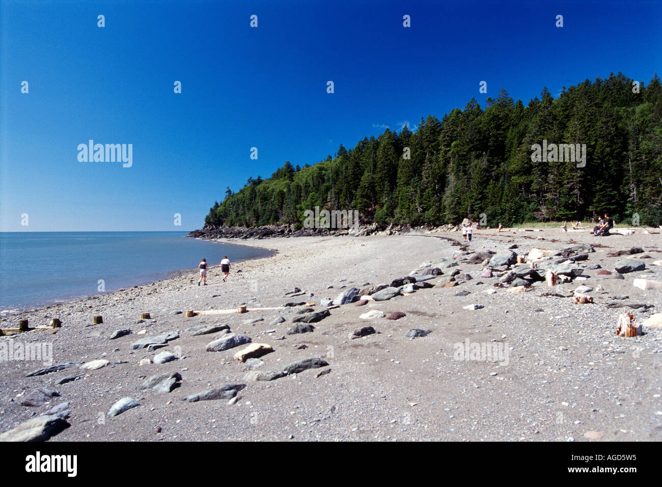 Point wolfe hi-res stock photography and images - Alamy