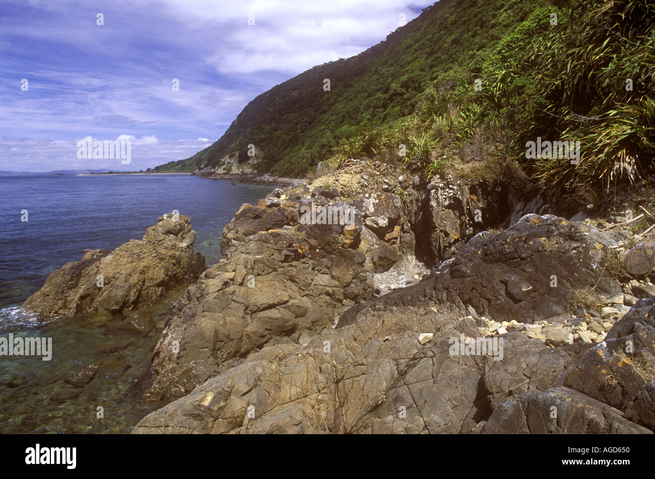 NEW ZEALAND Wellington Kapiti Island The rocky coastline of the scenic island viewed from north