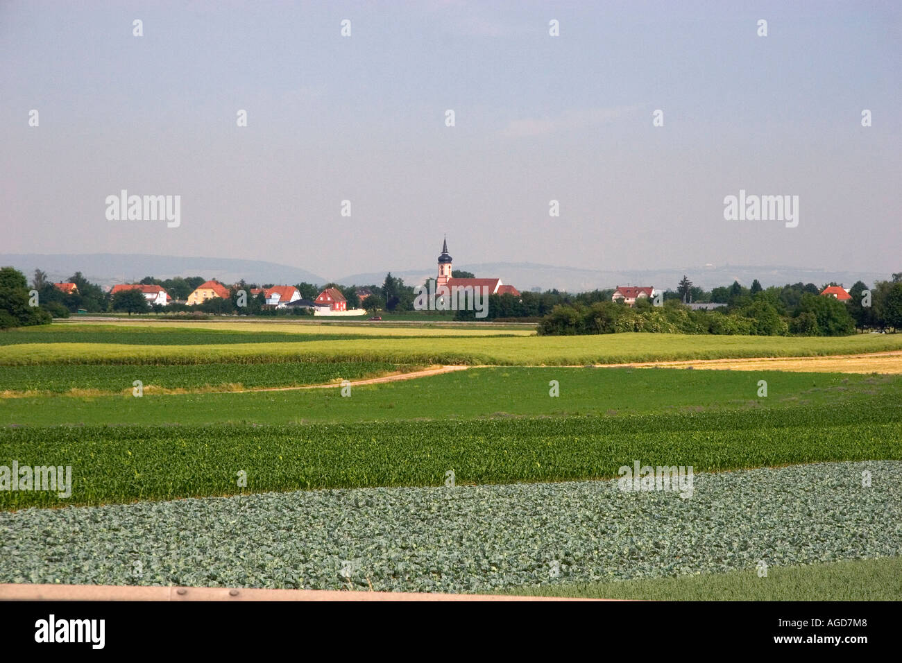 Agriculture near Strasbourg, Eastern France. Stock Photo